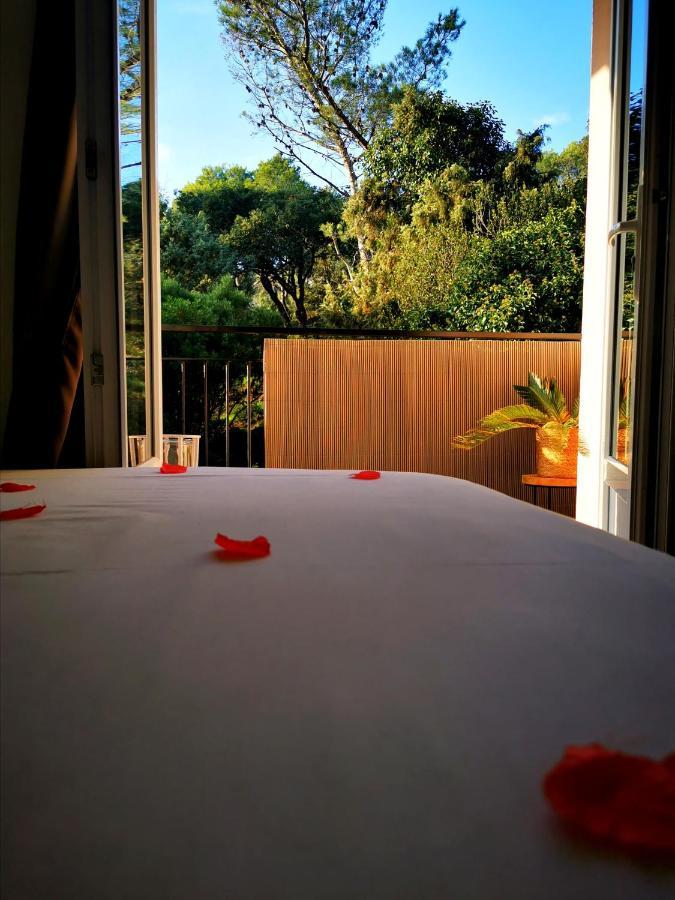 Instant Cosy Apartment Saint-Raphael  Ngoại thất bức ảnh